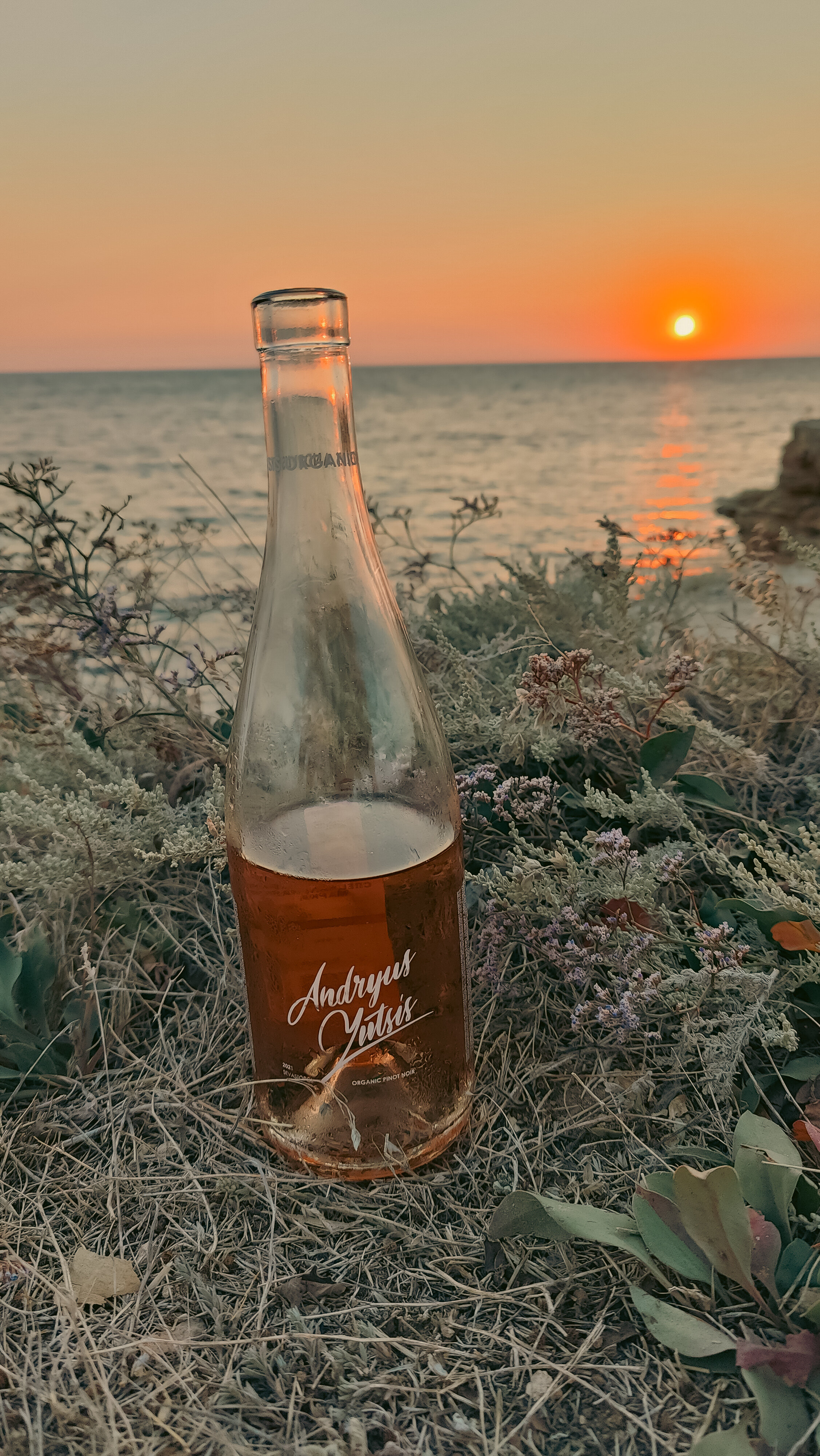 Гости Оленевка Village